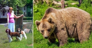 Perrito se sacrifica para salvar a abuelita que golpeó a un oso