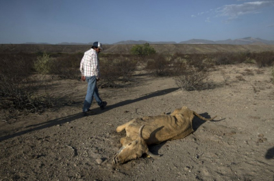 El norte de México se seca; la situación se ha vuelto “crítica”