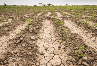 Campo tamaulipeco urge a diputados federales recursos para sequía y pandemia