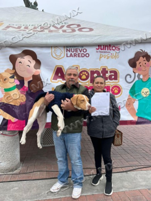 REFUERZA DIRECCI&Oacute;N DE BIENESTAR ANIMAL ATENCI&Oacute;N A PERROS Y GATOS EN SITUACI&Oacute;N DE CALLE