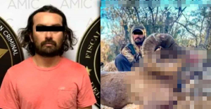 Detienen a cazador en Sonora; mató a un cimarrón y lo presumió en redes