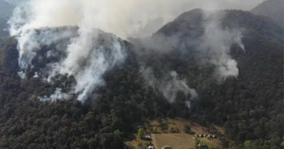 Hay riesgo de incendios forestales a causa de las tormentas el&eacute;ctricas: Protecci&oacute;n Civil Tamaulipas