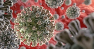 IPN desarrolla biofármaco para reducir efectividad del coronavirus