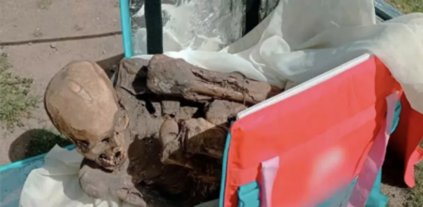 Él es “Juanita”, la momia de 800 años que un repartidor traía en su mochila