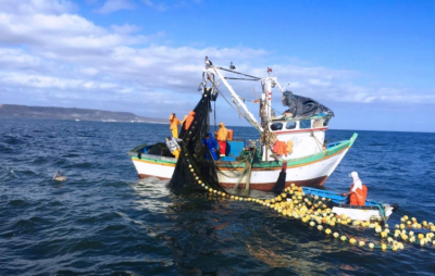 Sin freno la pesca ilegal en Tamaulipas