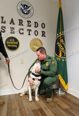 La Patrulla Fronteriza del Sector Laredo da la bienvenida a su primer canino de apoyo llamado Pearl