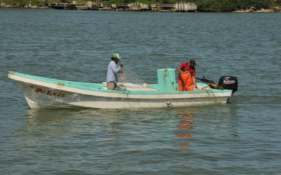 Inspeccionan embarcaciones para detectar pesca furtiva en el río Pánuco