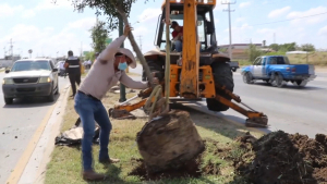 VIDEO Cuidan medio ambiente con reforestación de 120 árboles en Nuevo Laredo