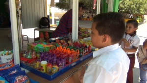VIDEO Están por abrir mil 600 cooperativas escolares en Tamaulipas