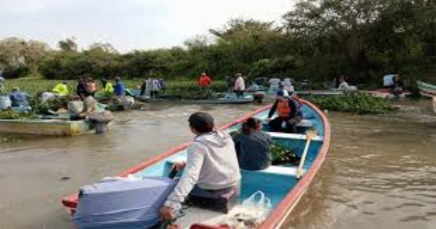 Damnificadas más de mil familias por las lluvias, en Tamaulipas