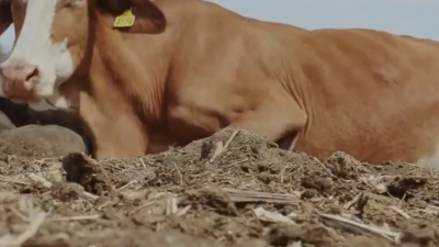 VIDEO Primer trimestre del 2022 seco para ganaderos