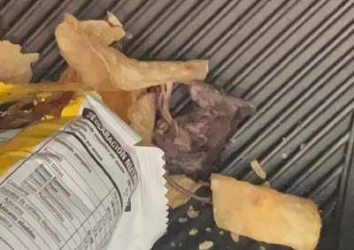 Mujer en Tampico encuentra una rata dentro de una bolsa de papas Chips