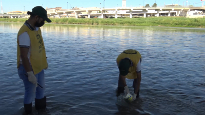 VIDEO Estudiantes del CBTis 234 hacen muestreos del agua en Río Bravo