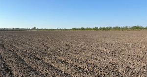 Termina el a&ntilde;o sin plan de riego para el DR025