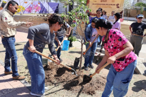 CULMINA CON &Eacute;XITO TALLER DE LOMBRICOMPOSTA ORGANIZADO POR INMUJER Y GESTI&Oacute;N AMBIENTAL