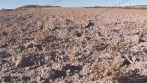 Sigue extrema sequía para Nuevo Laredo; Lluvias se esperan hasta septiembre