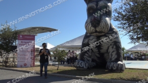 Realizan primera brigada de salud animal para mascotas en Nuevo Laredo