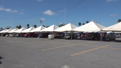 VIDOE Nuevo Laredo con más de 27 mil autos legalizados en modulo municipal de Repuve