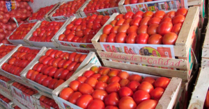Estados Unidos impone tarifa del 17.09% a tomates procedentes de M&eacute;xico