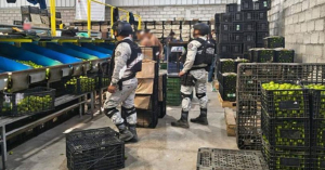 Suman 278 detenidos por el Plan Michoac&aacute;n por la Paz y la Justicia