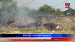 VIDEO Bajan 40 por ciento incendios en zacatales