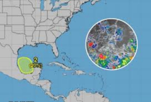 Nace baja presión en el Golfo, podría ser nuevo ciclón