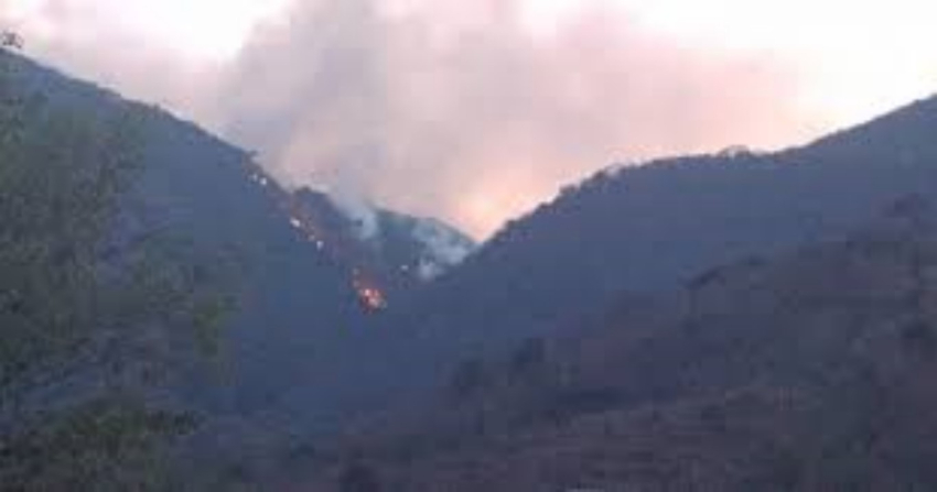 Sigue lucha contra poderoso incendio forestal en Tula