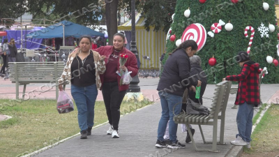 Protecci&oacute;n Civil alerta por frente fr&iacute;o y por el uso de anafres o le&ntilde;a en hogares