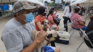Brigadas de salud animal al rescate de mascotas de Nuevo Laredo