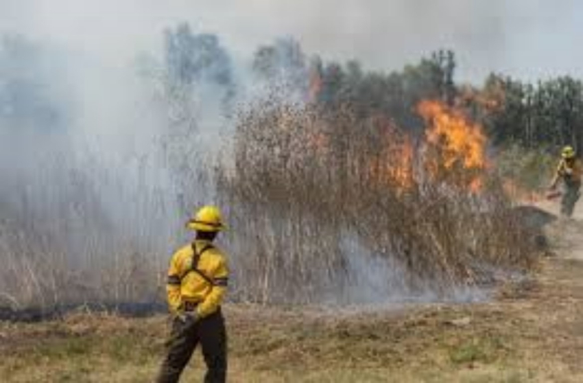 Refuerzan medidas para prevenir incendios forestales en Tamaulipas