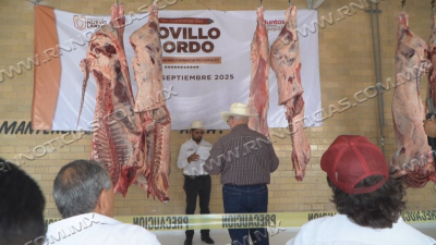 Impulsa Nuevo Laredo al sector ganadero con programa “Novillo Gordo”