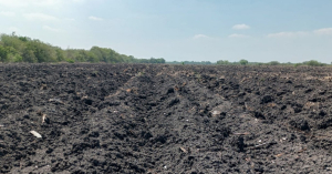 Productores de Altamira bloquear&iacute;an el Puente Roto
