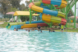 ZOOL&Oacute;GICO, ACUARIO Y ALBERCA GRATIS ESTE S&Aacute;BADO EN EL FESTIVAL DEL D&Iacute;A DEL NI&Ntilde;O EN PARQUE VIVEROS