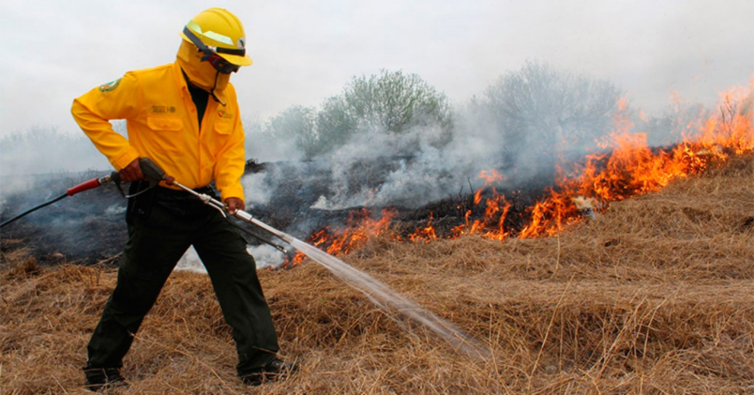 Atiza sequía la temporada de incendios