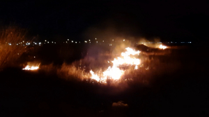 VIDEO Incrementan incendios en zacatales 40 por ciento pese temporada de invierno