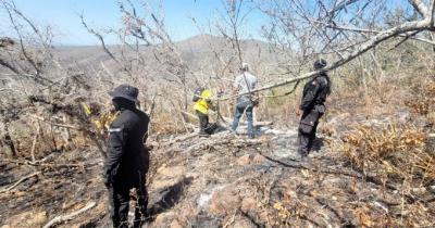 Inicia ‘brava’ temporada de incendios; van 6 mil hectáreas consumidas en Tamaulipas