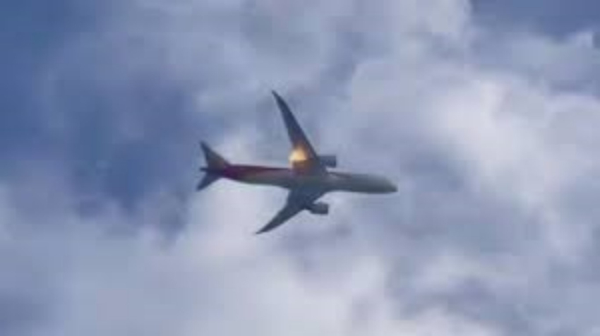 Avi&oacute;n choca contra un p&aacute;jaro y se incendia en el aire