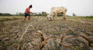 Afecta al 30% de agricultores la falta de agua