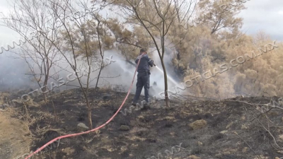 VIDEO Aumentan 50 por ciento incendios en zacatales por sequedad de hierba