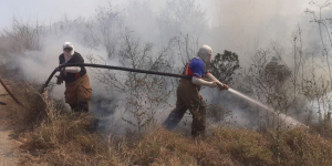 Incendios devoran 30 hectáreas