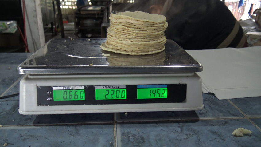 VIDEO Precio del kilo de tortilla llegará a los 23 pesos en Febrero