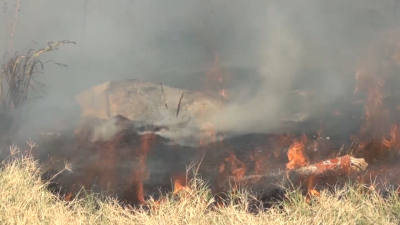 VIDEO Aumentan 50 por ciento incendio en zacatales por sequedad de hierba