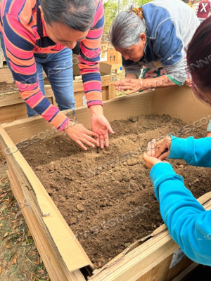 Coordinaci&oacute;n General De Gesti&oacute;n Ambiental Impulsa Huertos Urbanos En Espacio Comunitario