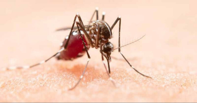 Registra dengue 22 contagios en Tamaulipas