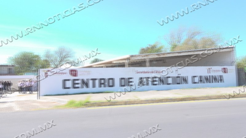 Reabren Centro de Bienestar Animal en Nuevo Laredo con servicios gratuitos para mascotas