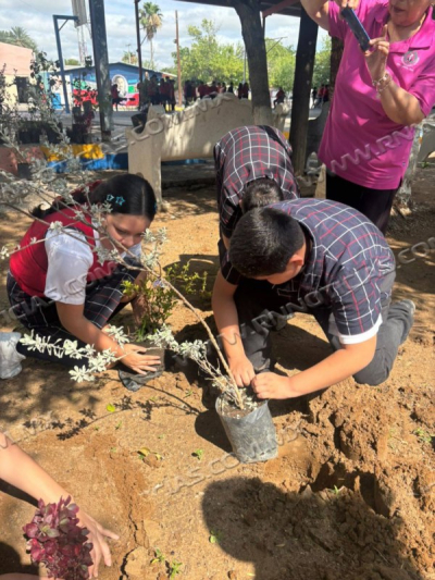 IMPULSAN FORESTACI&Oacute;N Y CUIDADO DEL MEDIO AMBIENTE EN ESCUELA LAURO AGUIRRE