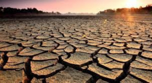 México termina el 2022 con 50% de su territorio en sequía