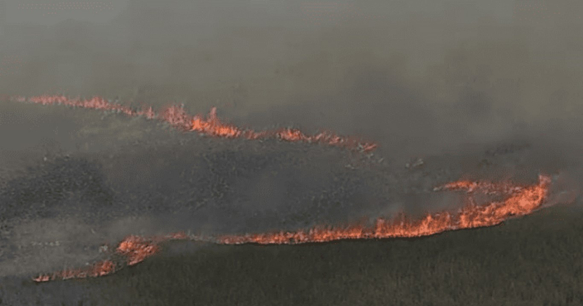 Avanza sin control incendio masivo en los Everglades de Florida