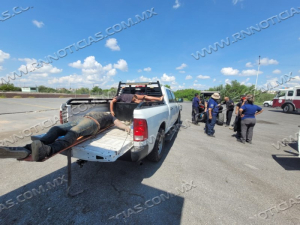 Tres migrantes ahogados en 2025: la cifra m&aacute;s baja en cinco a&ntilde;os en el r&iacute;o Bravo