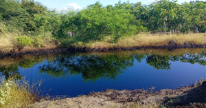 Pemex aplicar&aacute; programa de limpieza por derrames de crudo en Altamira